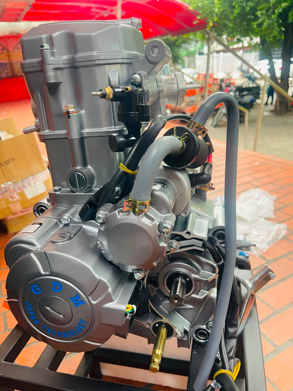 Motor Completo 250cc Refrigerado por Agua para Motocarro / Carguero (Marca GDM Yinxiang)