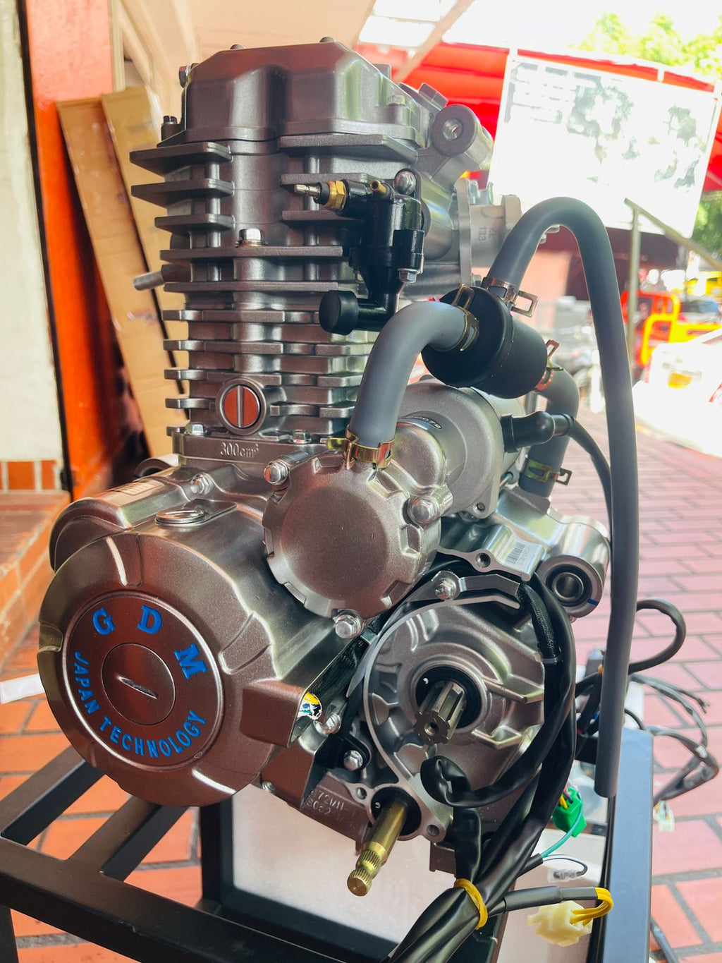 Motor Completo 300cc Refrigerado por Agua para Motocarro / Carguero (Marca GDM Yinxiang)