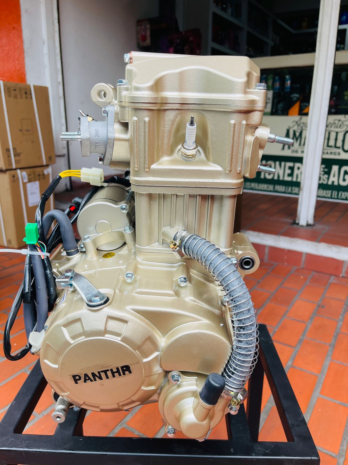 Motor Completo 250cc Refrigerado por Agua para Carguero Vaisand 250 (Marca Panther)
