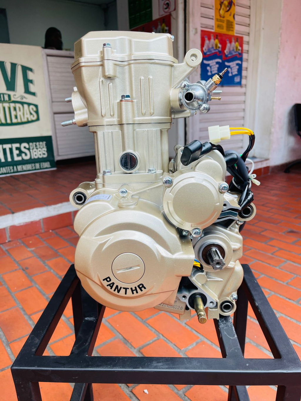 Motor Completo 250cc Refrigerado por Agua para Carguero Vaisand 250 (Marca Panther)