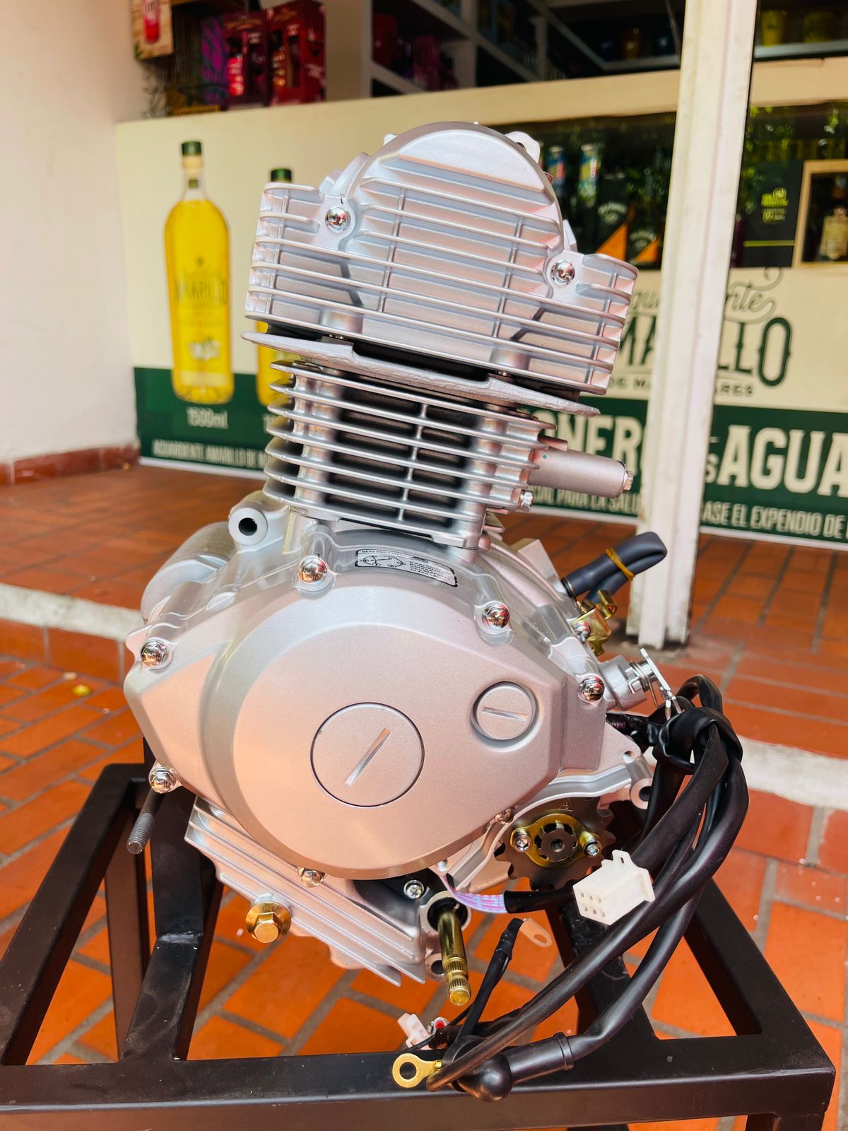 Motor Completo 125cc Tipo Libero 125 / YBR 125 (Marca Panther)