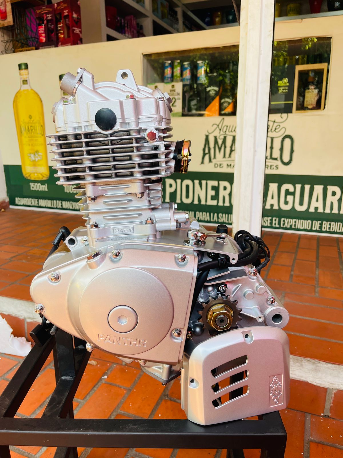 Motor Completo 125cc Tipo Suzuki GN 125 H (Marca Panther)