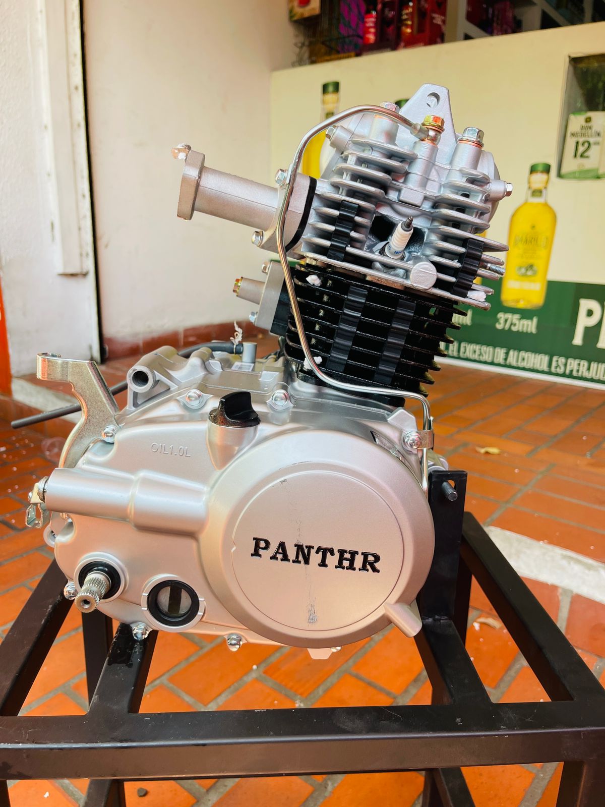 Motor Completo 100cc Tipo Bajaj Boxer CT 100 (Marca Panther)